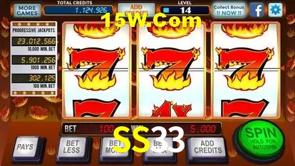 Segurança 2FA SS33